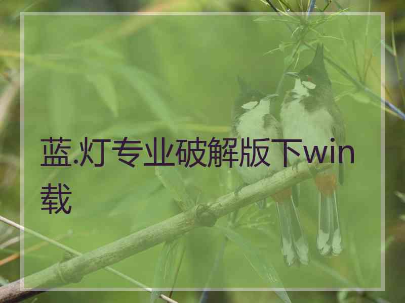 蓝.灯专业破解版下win载