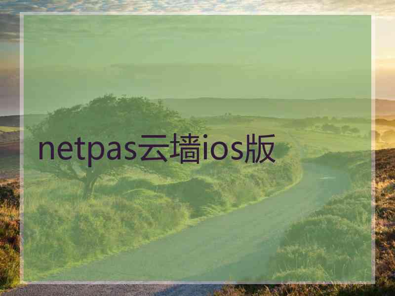 netpas云墙ios版