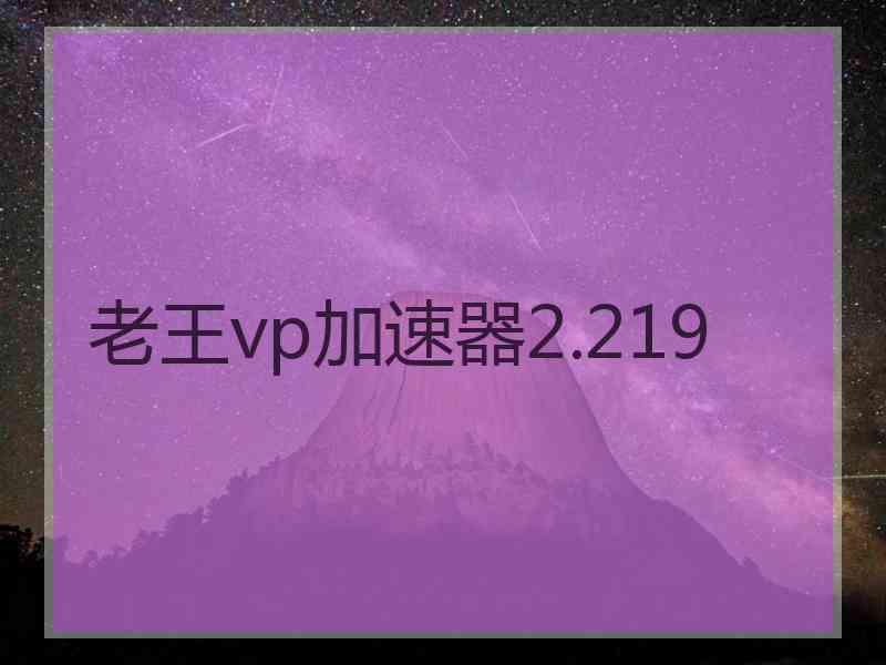 老王vp加速器2.219