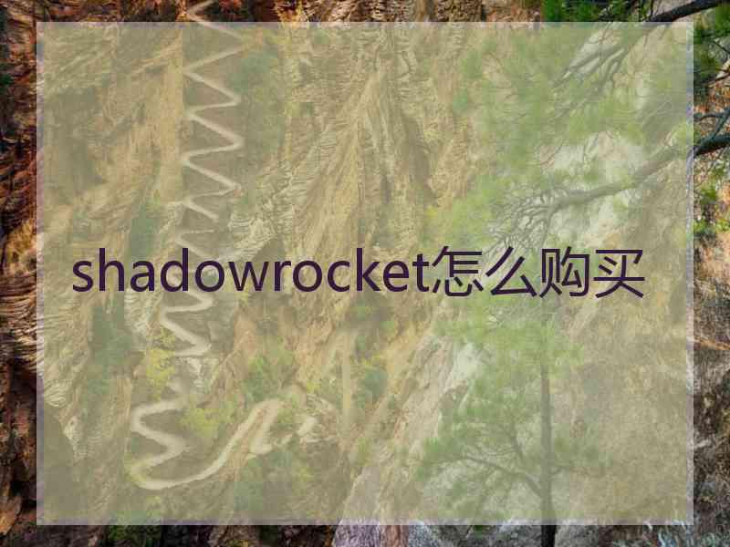 shadowrocket怎么购买