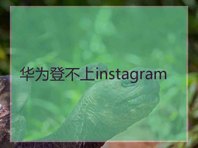 华为登不上instagram