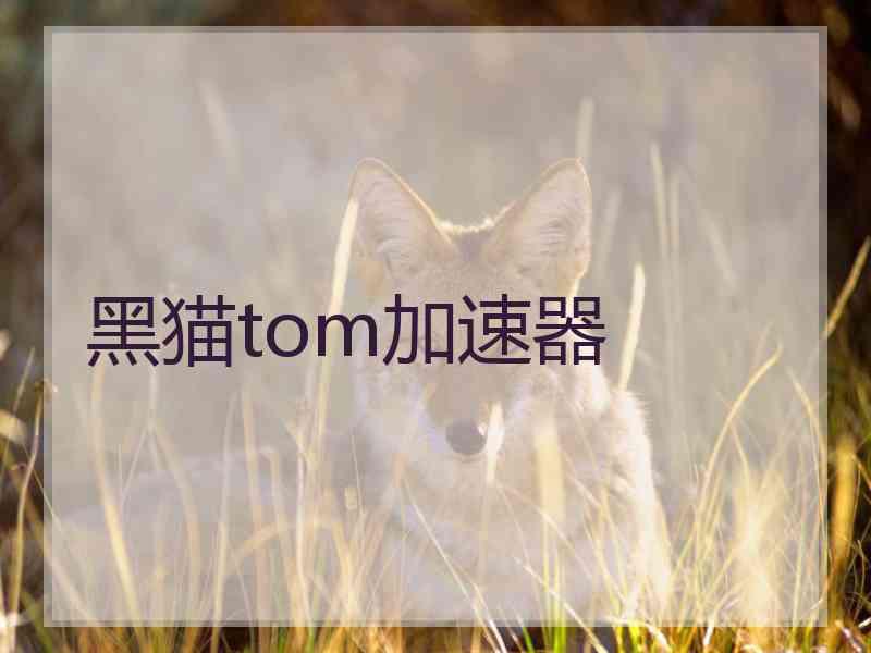 黑猫tom加速器