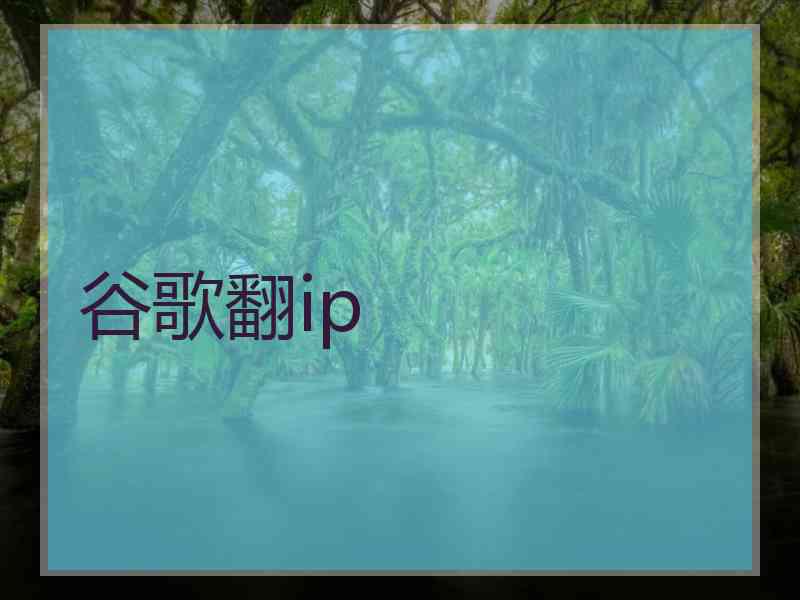 谷歌翻ip