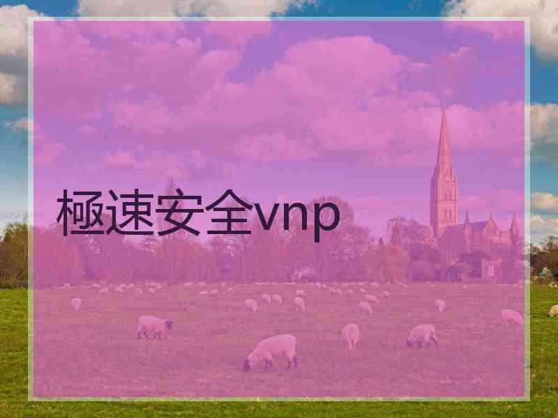 極速安全vnp