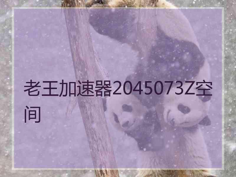 老王加速器2045073Z空间