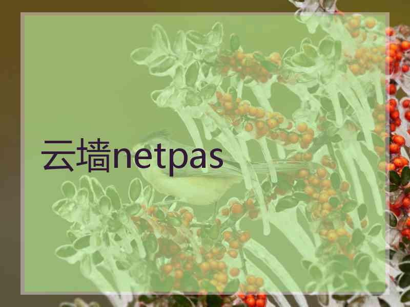 云墙netpas