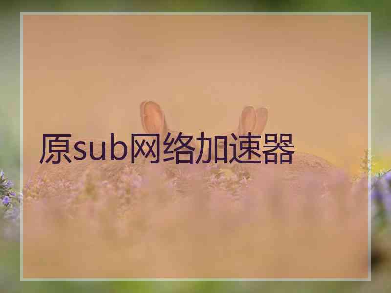 原sub网络加速器