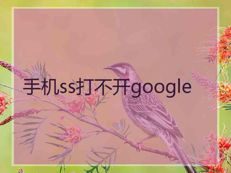 手机ss打不开google