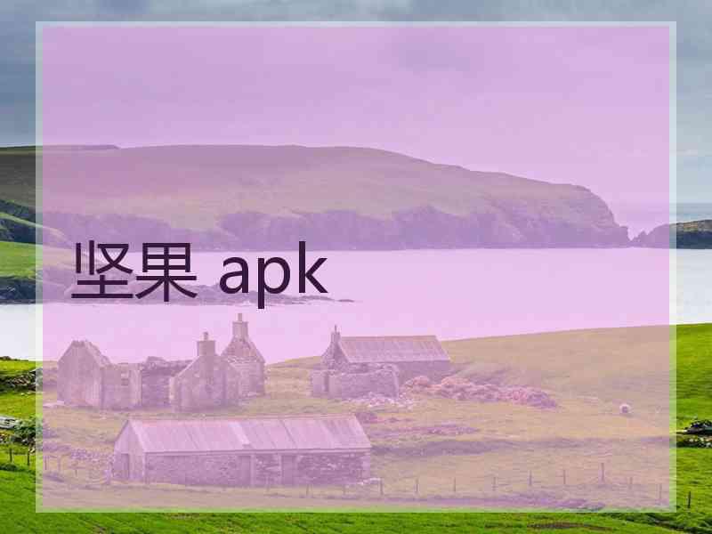 坚果 apk