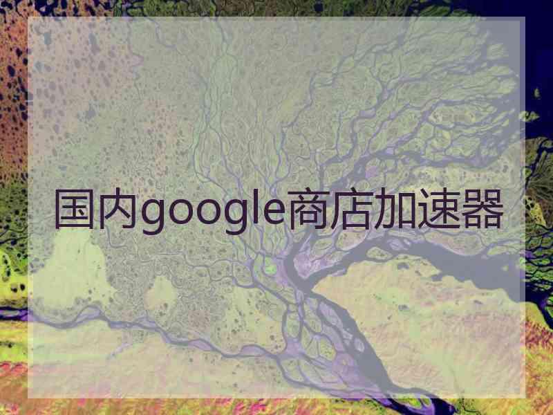 国内google商店加速器