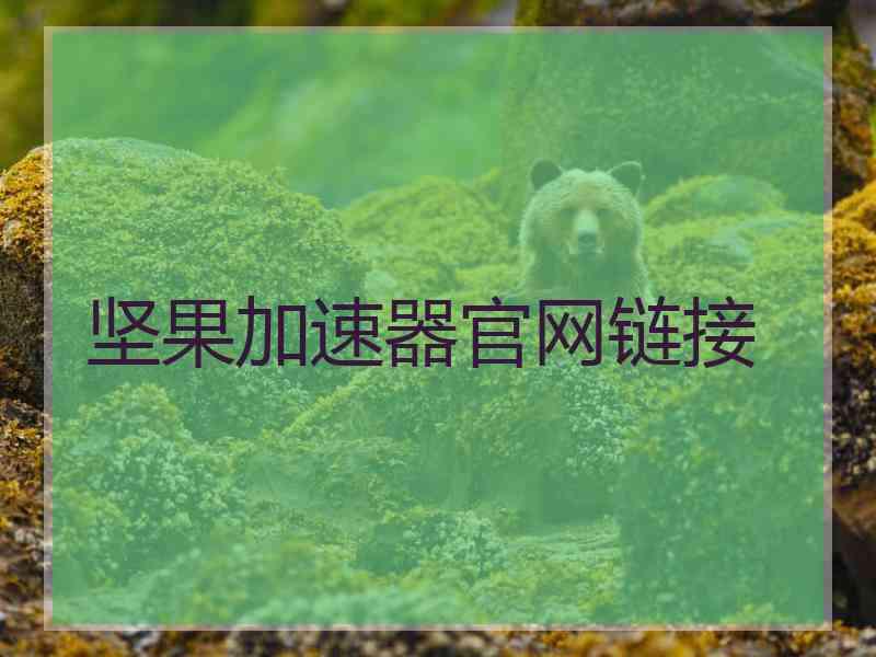 坚果加速器官网链接