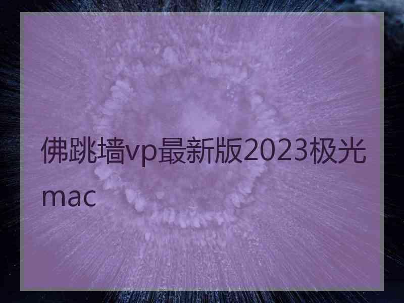 佛跳墙vp最新版2023极光 mac