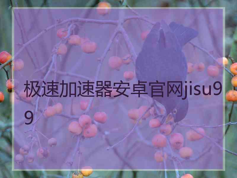 极速加速器安卓官网jisu99