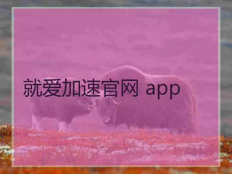 就爱加速官网 app