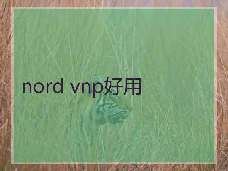 nord vnp好用