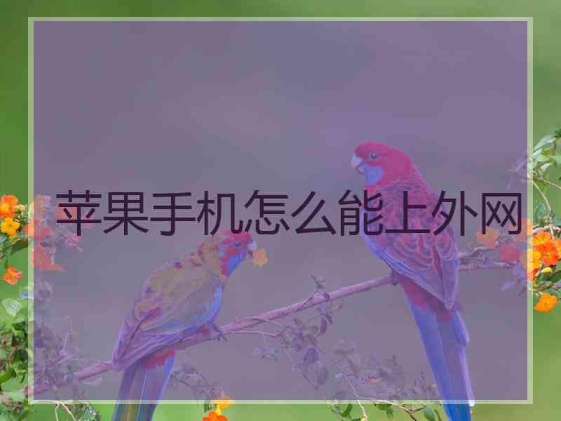 苹果手机怎么能上外网