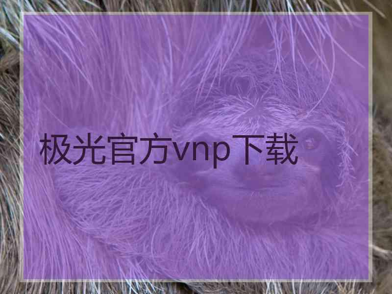 极光官方vnp下载