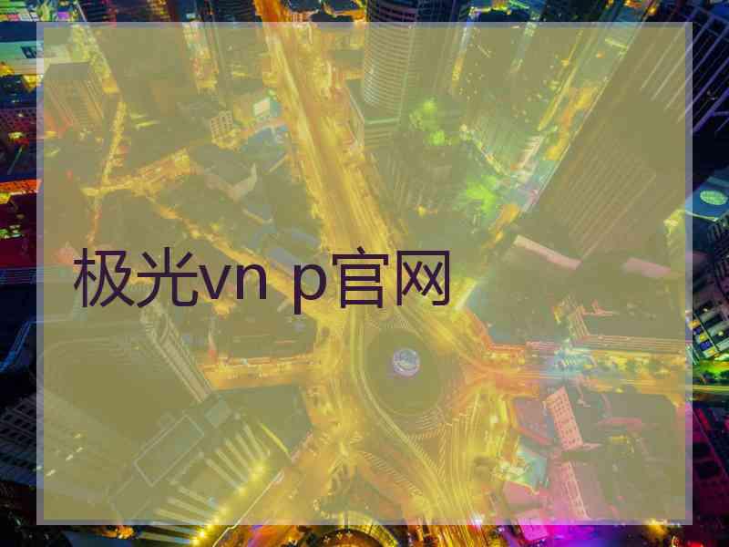 极光vn p官网