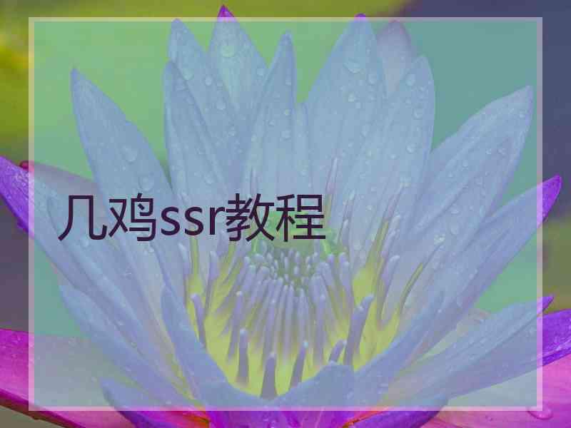 几鸡ssr教程