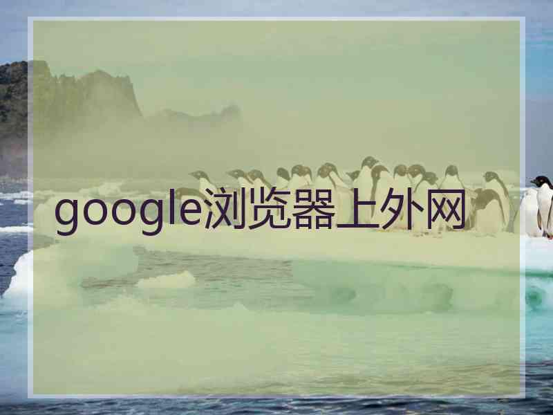 google浏览器上外网