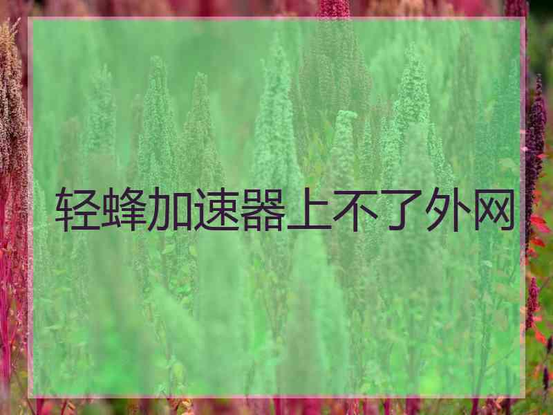 轻蜂加速器上不了外网