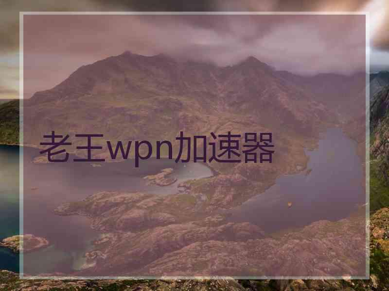 老王wpn加速器