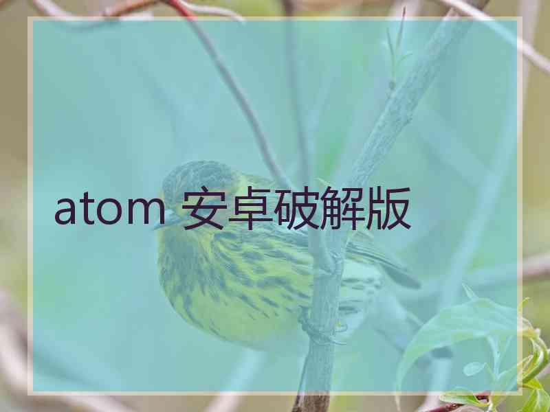 atom 安卓破解版