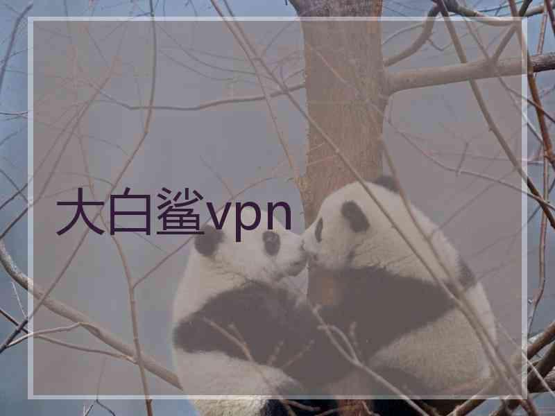 大白鲨vpn