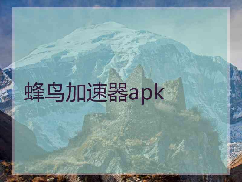 蜂鸟加速器apk