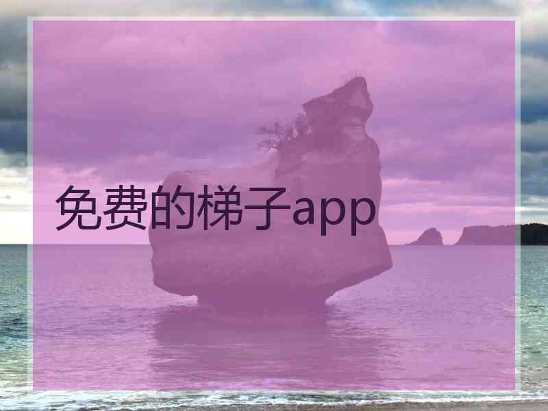 免费的梯子app