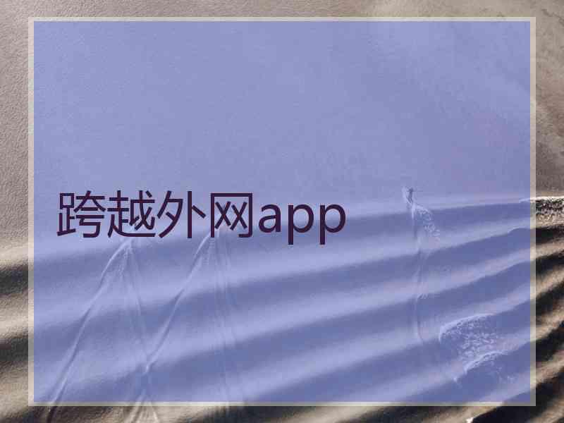 跨越外网app