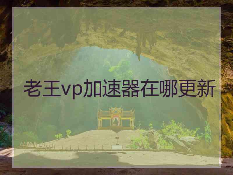 老王vp加速器在哪更新