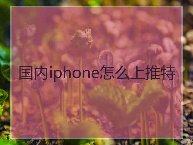 国内iphone怎么上推特