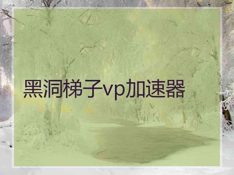 黑洞梯子vp加速器