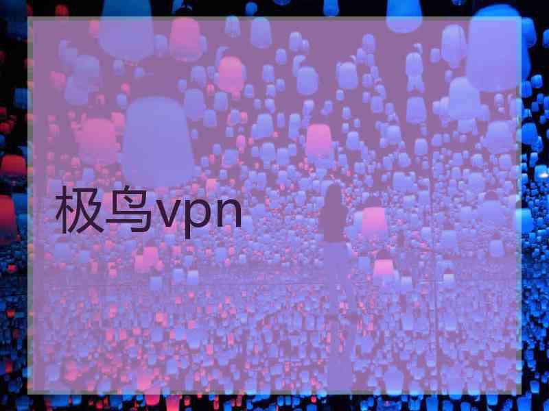 极鸟vpn