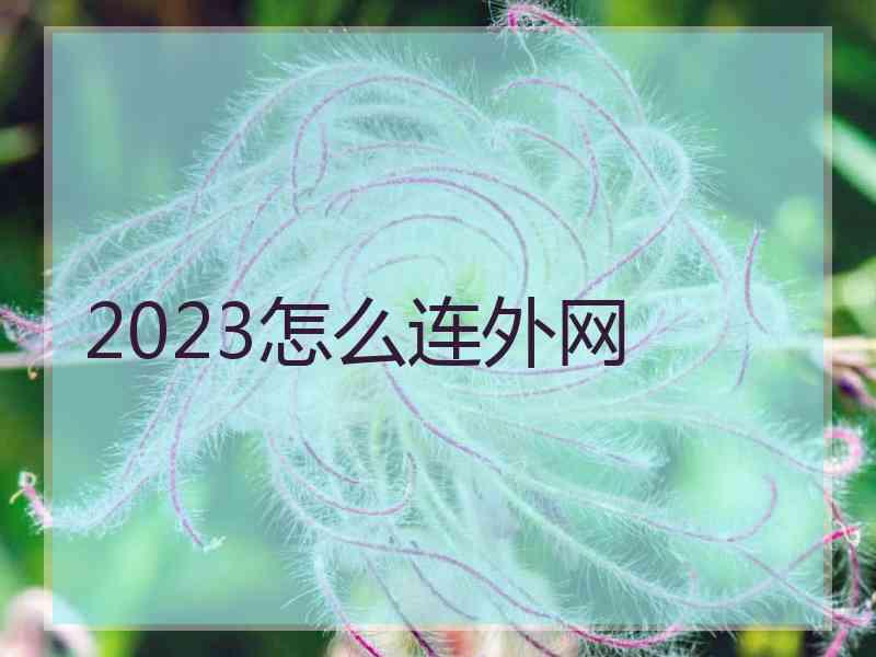 2023怎么连外网