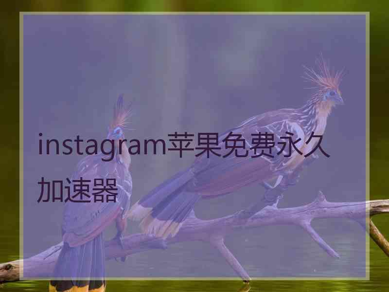 instagram苹果免费永久加速器