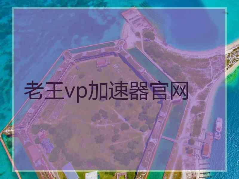 老王vp加速器官网