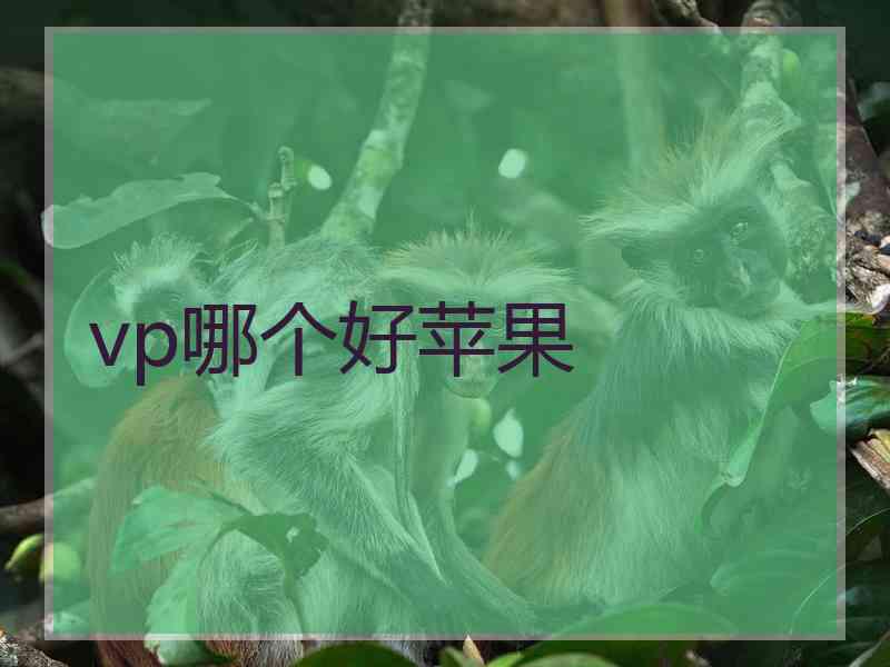 vp哪个好苹果