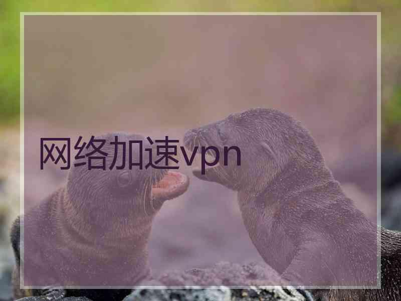 网络加速vpn