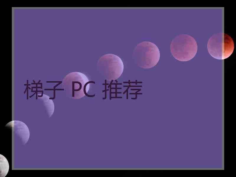 梯子 PC 推荐