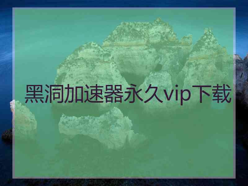 黑洞加速器永久vip下载