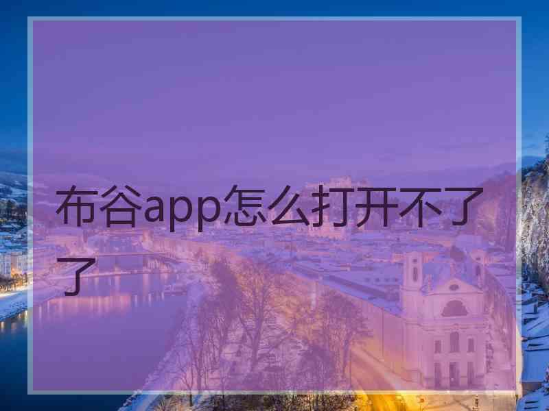 布谷app怎么打开不了了