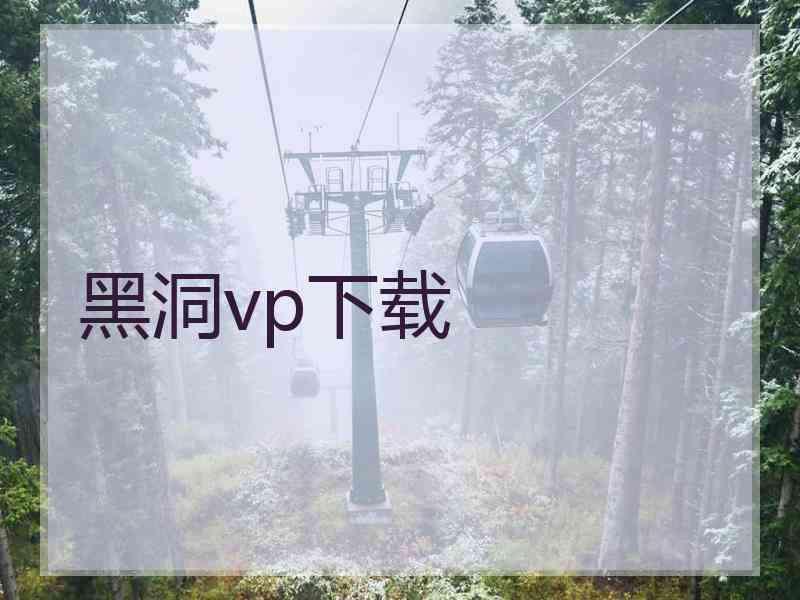 黑洞vp下载