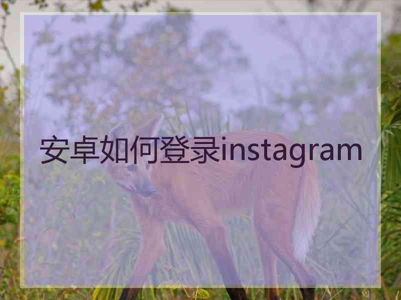 安卓如何登录instagram