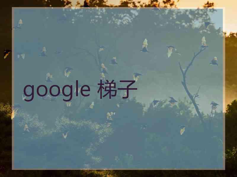 google 梯子