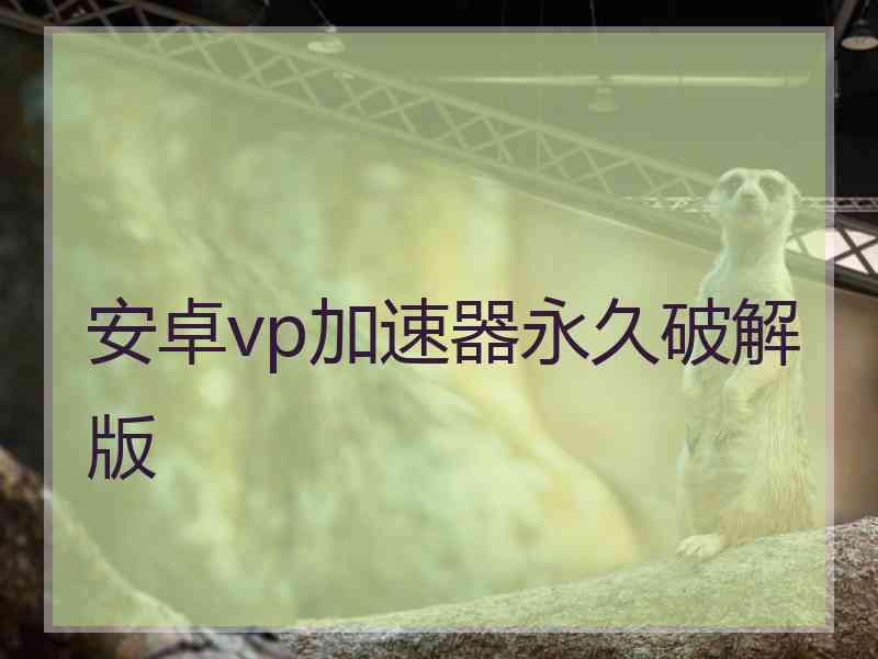 安卓vp加速器永久破解版