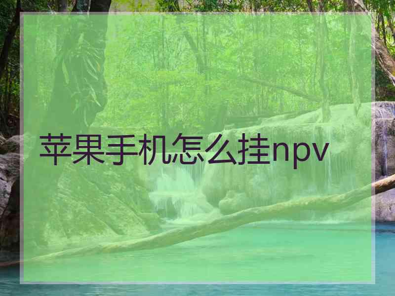 苹果手机怎么挂npv