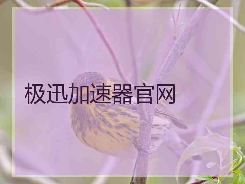 极迅加速器官网