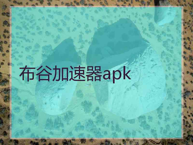 布谷加速器apk